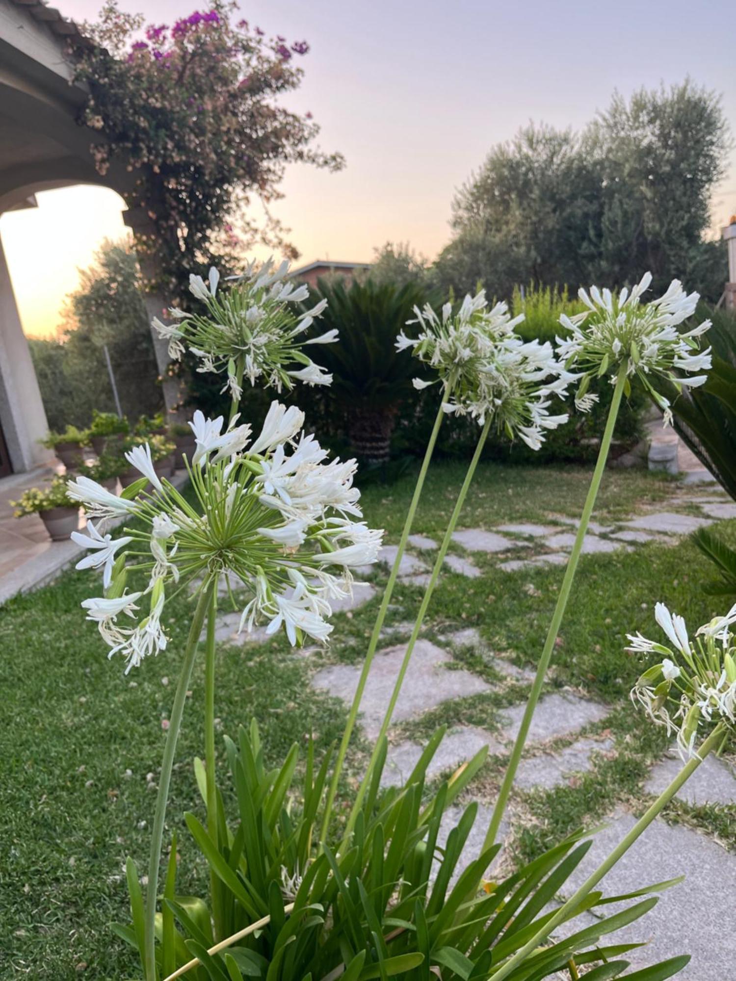 Hotel Il Tramonto Giba Esterno foto