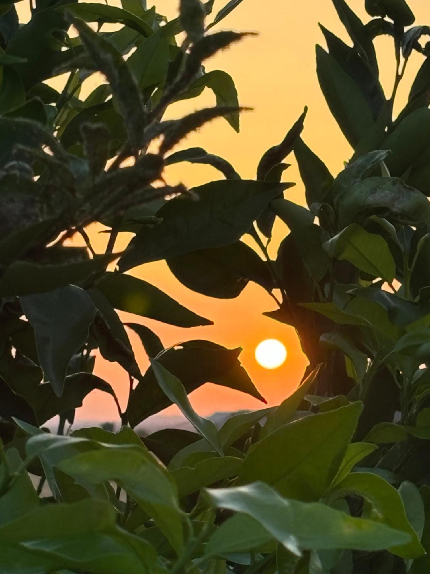 Hotel Il Tramonto Giba Esterno foto